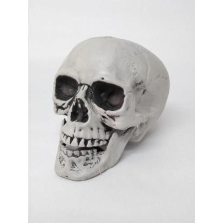 CALAVERA DECO 13X12X16